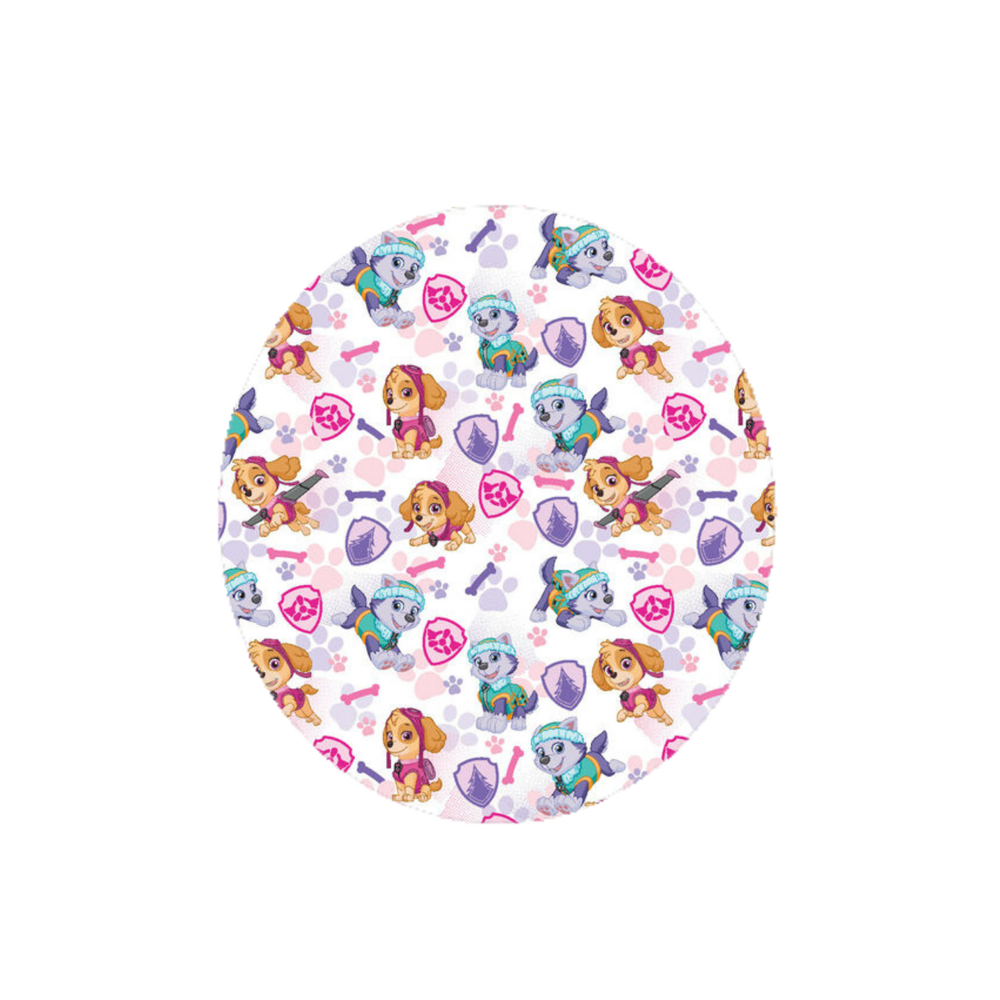 Paw Patrol - Skye and Everest CGM Adhesive Patch