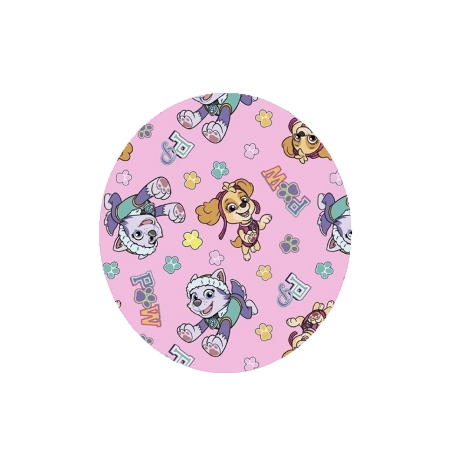 Paw Patrol - Skye and Everest CGM Adhesive Patch