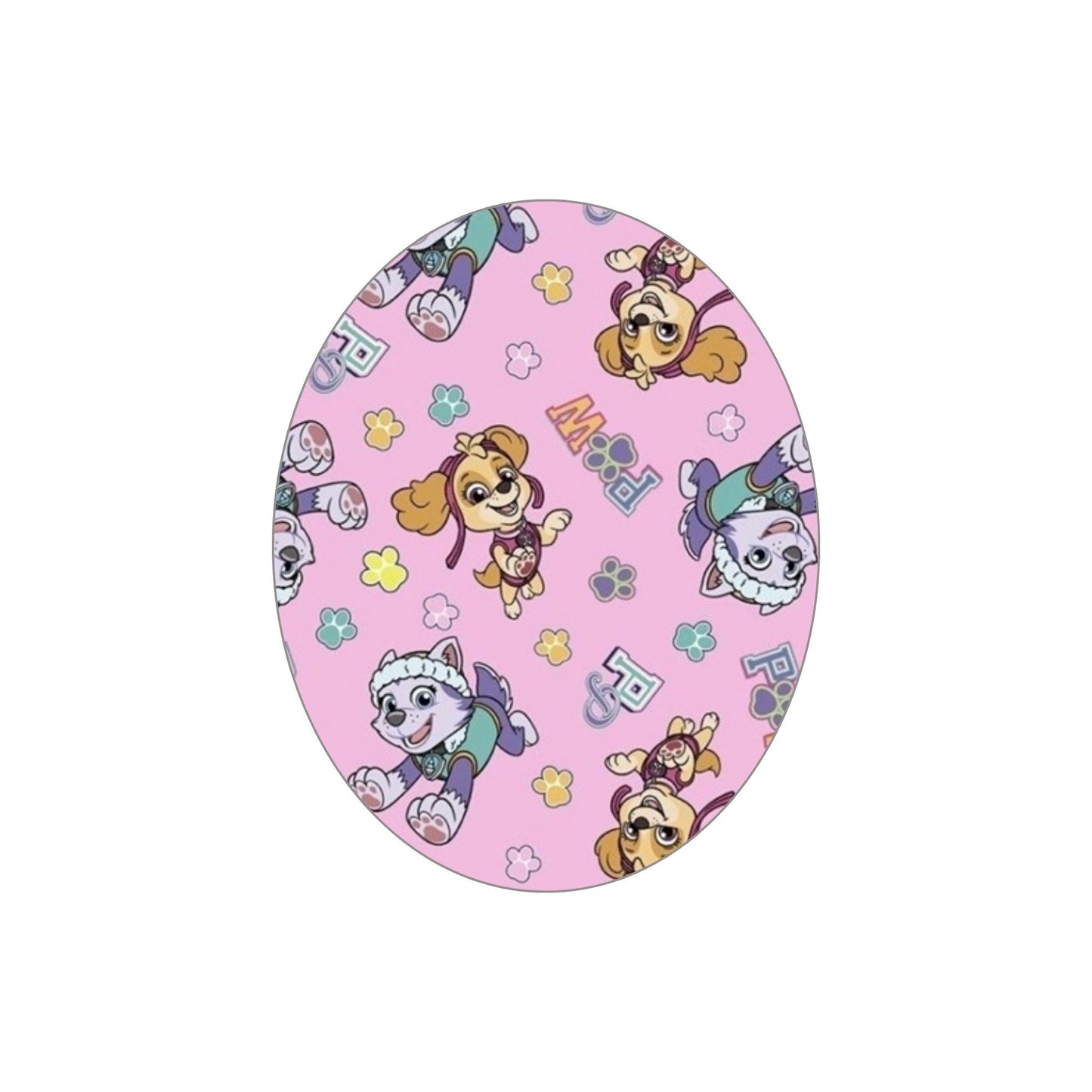 Paw Patrol - Skye and Everest CGM Adhesive Patch